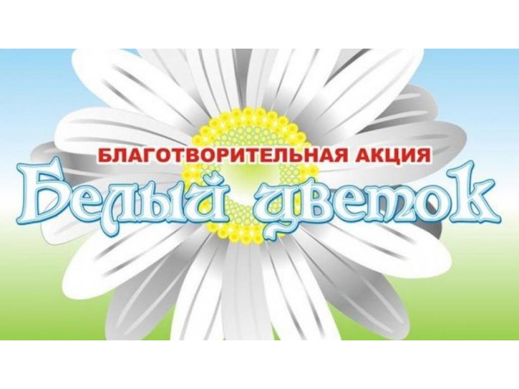 Благотворительная акция "Белый цветок"