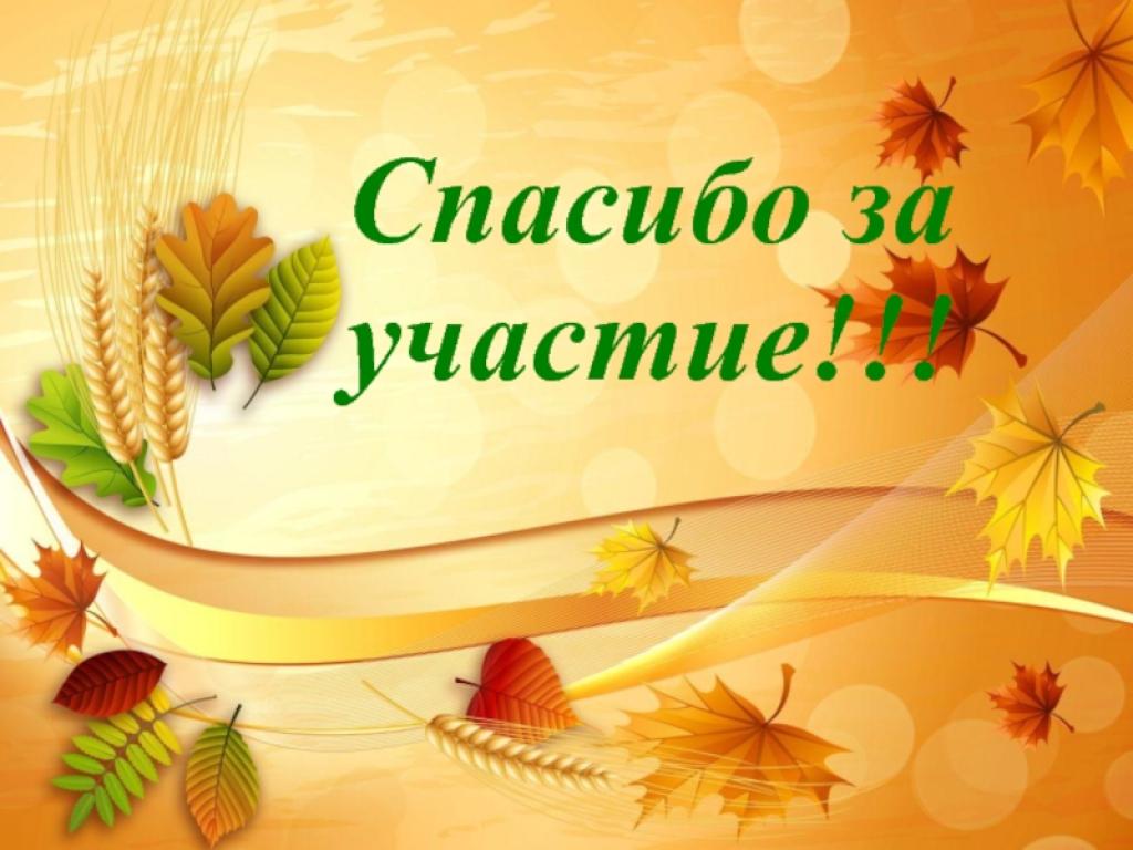 Осень молодцы. Спасибо за участие. Спасибо за участие в конк. Спасибо за участие осень. Благодарим за участие в конкурсе.