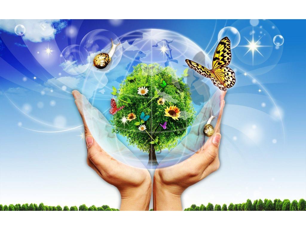 Краткосрочные проекты по экологическому воспитанию
