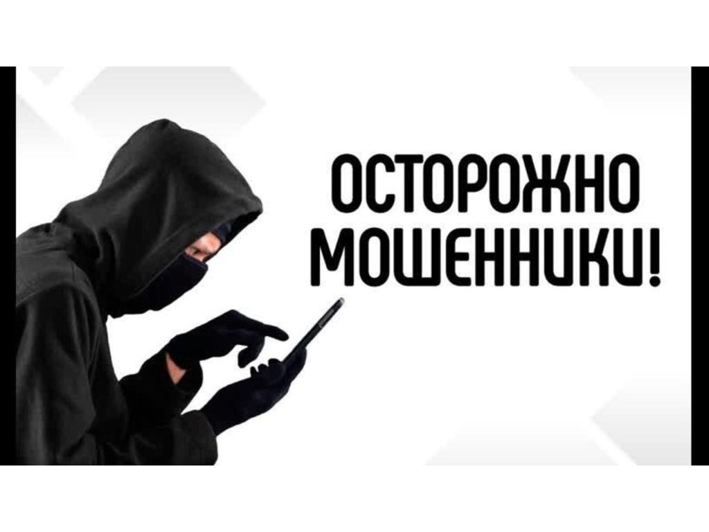 Профилактика мошенничества